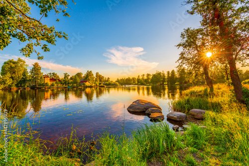 Houses on the banks of the river. The sun shines through the foliage of the trees. Ducks swim in the pond. Sunset. Blue sky. Beautiful nature. Summer evening. 