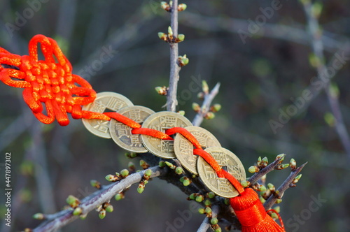Wallpaper Mural A bunch of Chinese coins with wishes on a flowering tree. Spring background. Torontodigital.ca