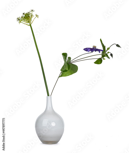 Single Ornithogalum saundersiae aka Star of Bethlehem flower and Clematis in white glass vase. Isolated on a white background. photo