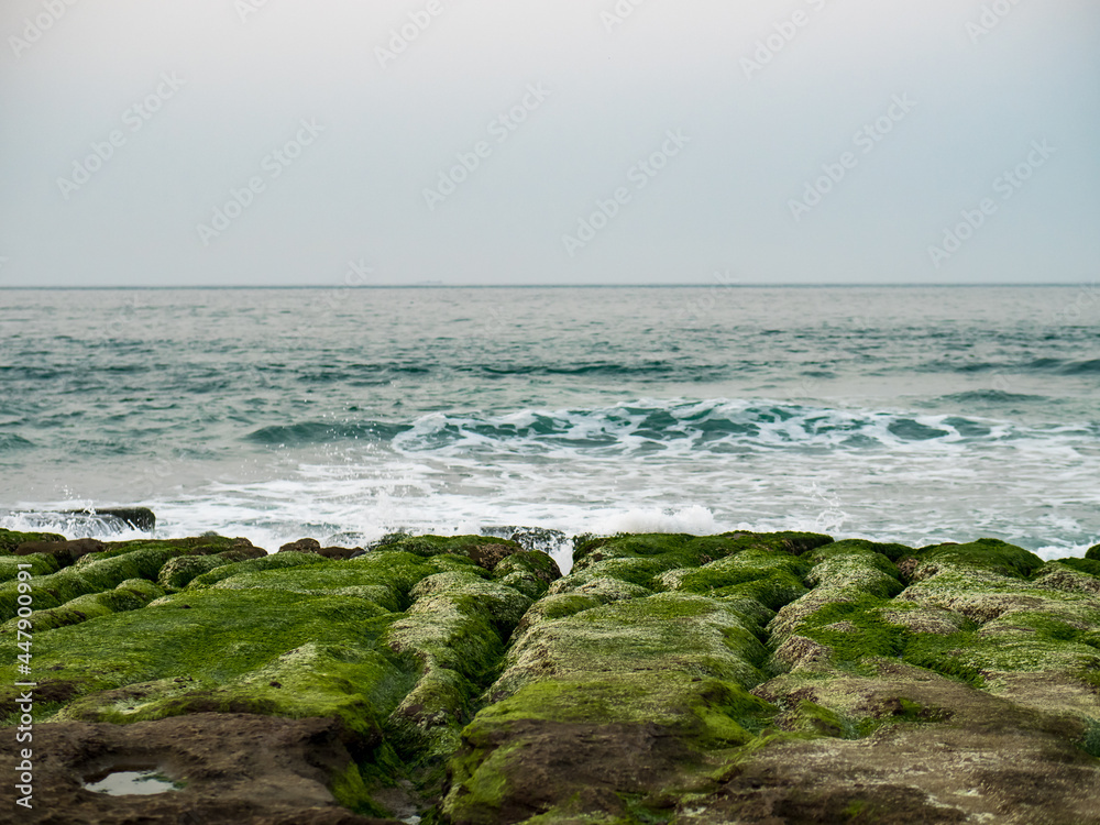 View of Laomei Green Reef (Stone troughs) at New Taipei City. Green algae on the sea groove (Sea erosion ditch) only in April and May.