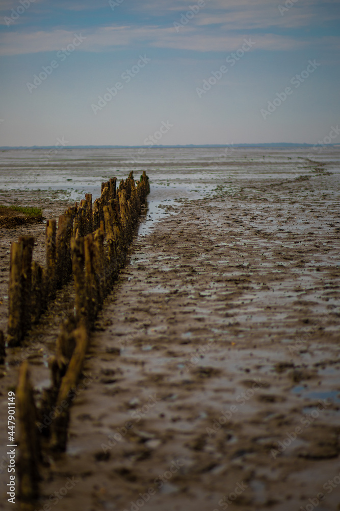 view of the north sea at low tide. Germany.