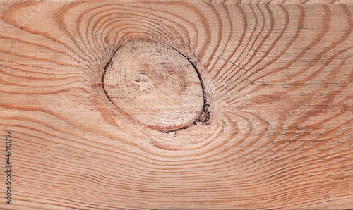 Wooden background with the texture of an old tree. Pine cut with a knot, old board