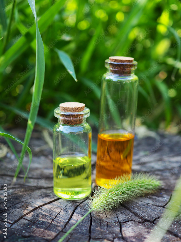 Several glass bottles with oil and essence on a natural background, a banner for alternative medicine, a copy of the space of a medicine from nature Several glass bottles with oil and essence on a natural background, a banner for alternative medicine, a copy of the space of a medicine from nature