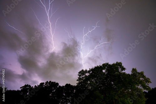 Lightning Over Trees 