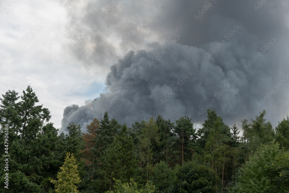 black smoke rising from forest fire