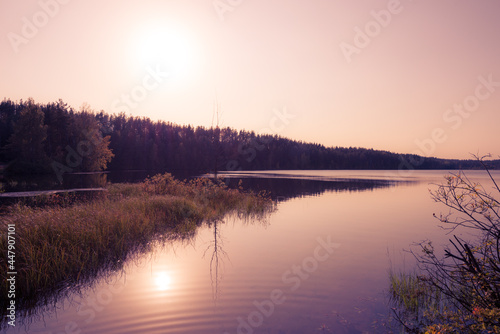 Sunset over the forest lake. View from the shore level, image in the orange-purple toning