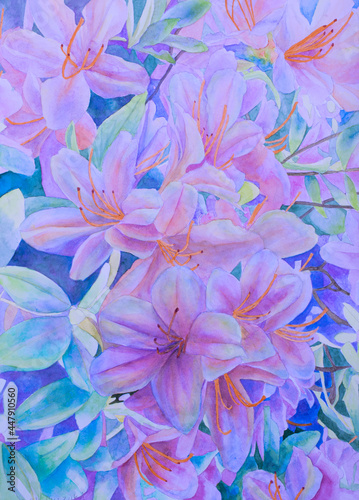 Handwritten watercolor painting of beautifully colored azaleas 