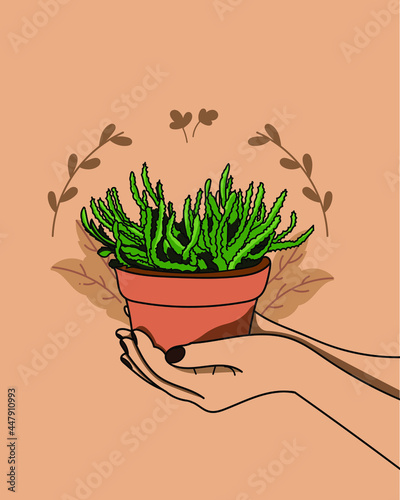 A woman hand is holding a flowerpot, green leaves.