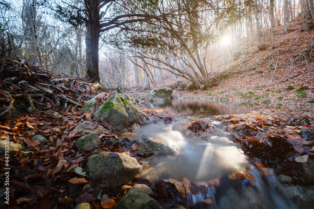 Creek in autumn forest sunset. Fall season in forest Creek in autumn forest sunset. Fall season in forest