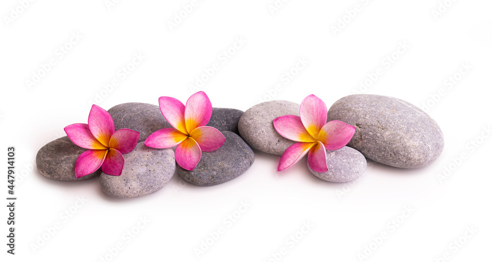 Pebbles and frangipani flowers isolated on white Pebbles and frangipani flowers isolated on white