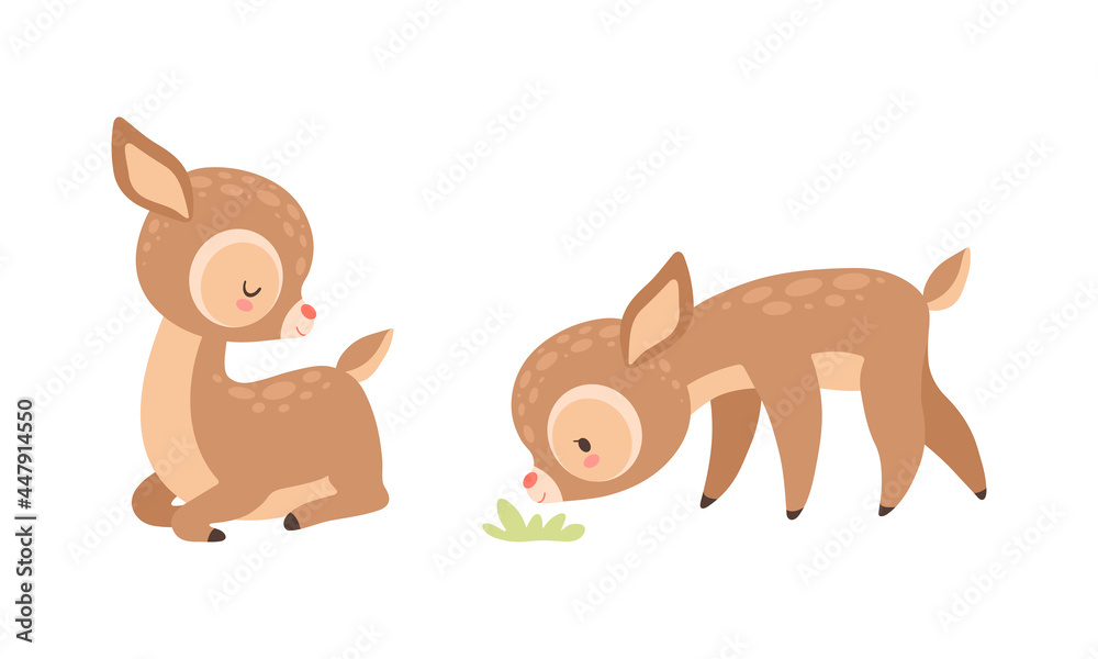 Fototapeta premium Cute Baby Deer with Spots as Adorable Hoofed Mammal Sitting and Smelling Grass Vector Set