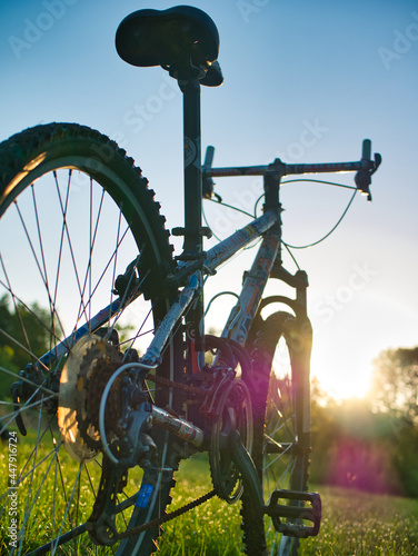 bicycle on grass sunrise golden hour portrait
