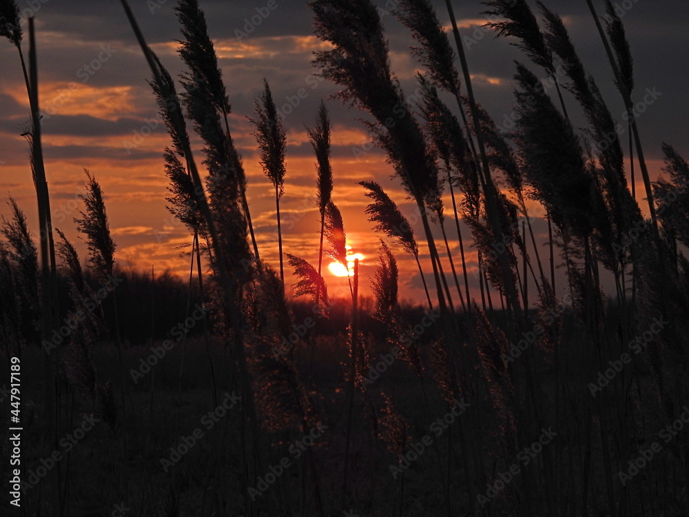 Fototapeta premium zachód słońca