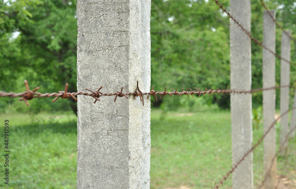 Barbed wire fence blocks an orchard in rural northern Thailand. Barbed wire fence blocks an orchard in rural northern Thailand.