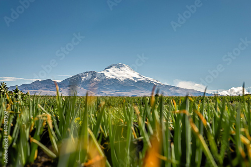 Volcán Cayambe, andes