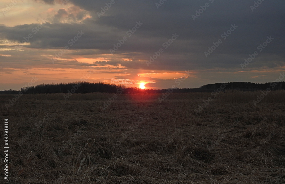 Fototapeta premium zachód słońca