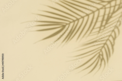 Silhouette and shadow curve of two branches of palm tree from sunlight. Pastel yellow background.