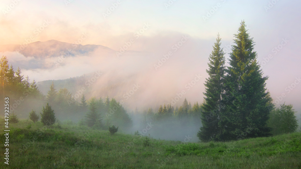 Beautiful foggy morning in the Carpathian mountains, Ukraine. Panoramic view.