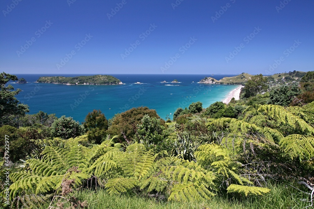 View of the coast of Coromandel Peninsula. Cathedral Cove Recreation Reserve. New Zealand.