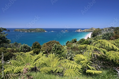 View of the coast of Coromandel Peninsula. Cathedral Cove Recreation Reserve. New Zealand. © Rostislav