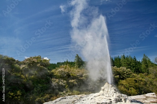 Lady Knox Geyser at the Wai-O-Tapu Thermal Wonderland scenic area in New Zealand.