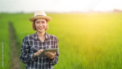 Female farmer using tablet at close range to collect data at the rice fields in the evening with warm light Agriculture concept  technology concept