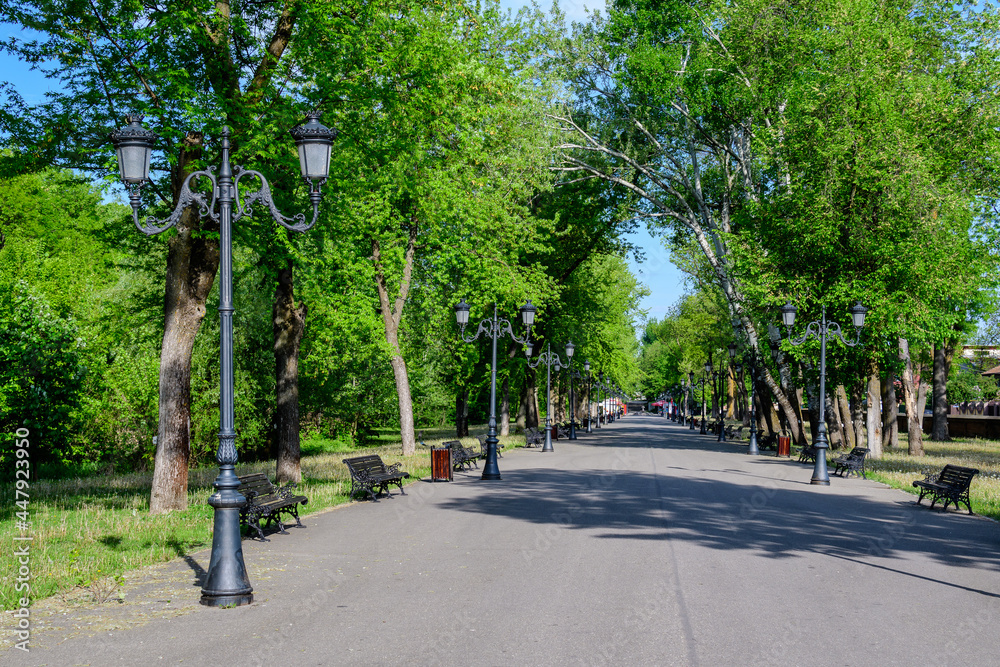 Landscape with old green trees and grey alley in Mogosoaia Park (Parcul Mogosoaia), a weekend attraction close to  Bucharest, Romania, in a sunny spring day.