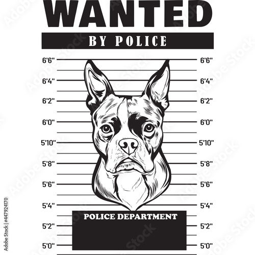 Mugshot of Boston Terrier Dog holding banner behind bars
