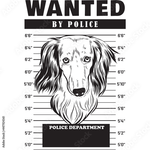 Mugshot of Long Haired Dachshund Dog holding banner behind bars
