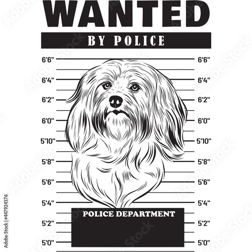 Mugshot of Havanese Dog holding banner behind bars

