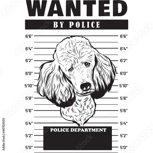Mugshot of Poodle Dog holding banner behind bars
