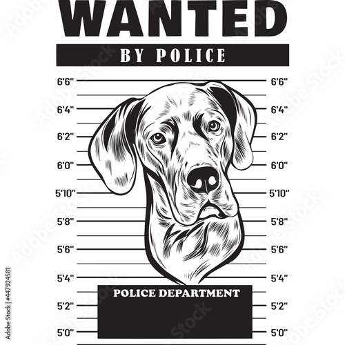 Mugshot of Great Dane Dog holding banner behind bars

