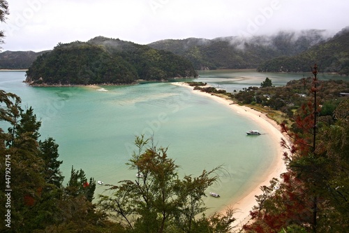 View of the coast of Tasman Sea. Abel Tasman National Park. New Zealand. photo