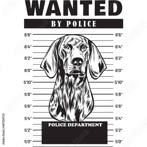 Mugshot of German Shorthair Dog holding banner behind bars
