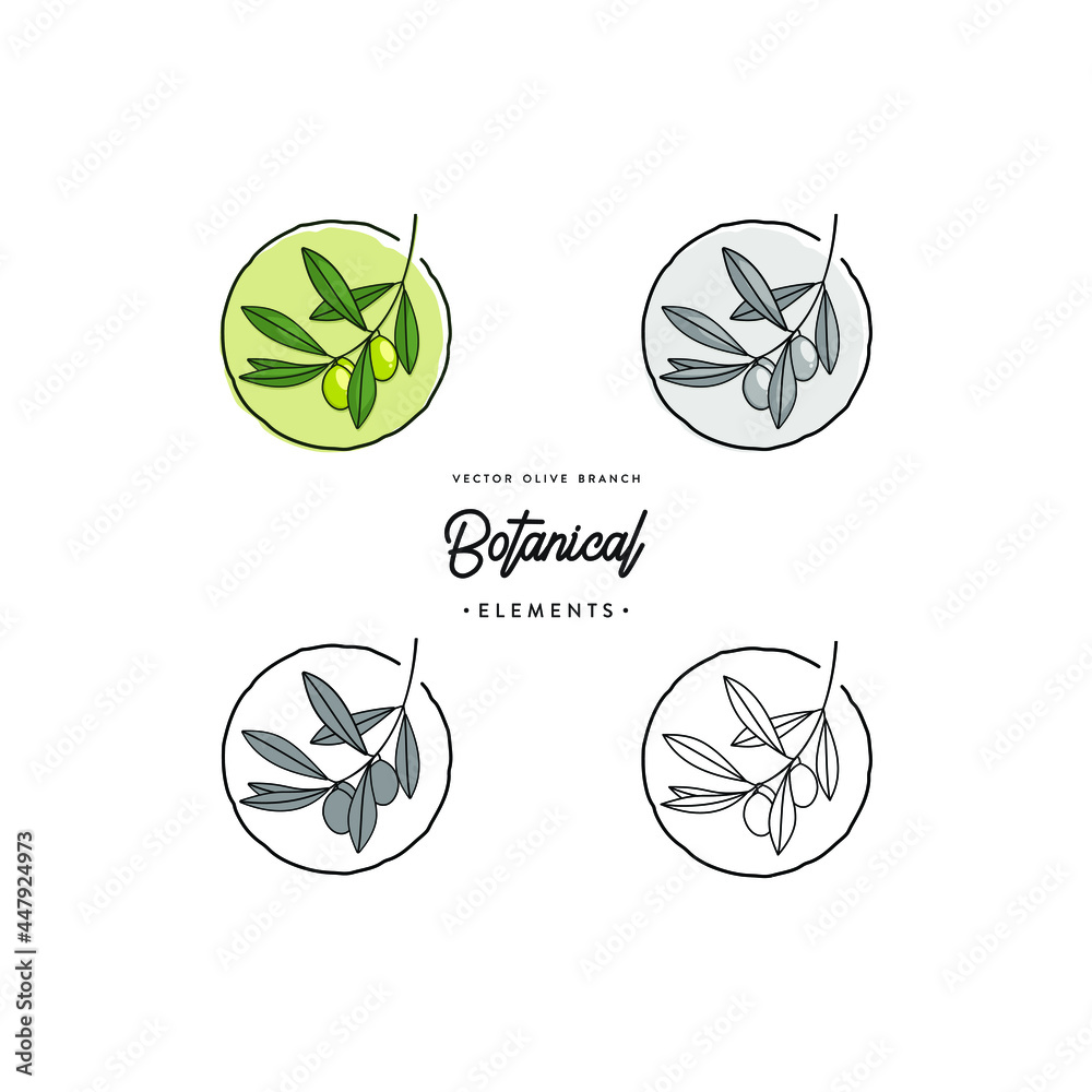 A free collection of botanical olive branch line art vector set A free collection of botanical olive branch line art vector set