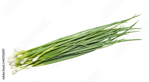 Fresh green onion isolated on white