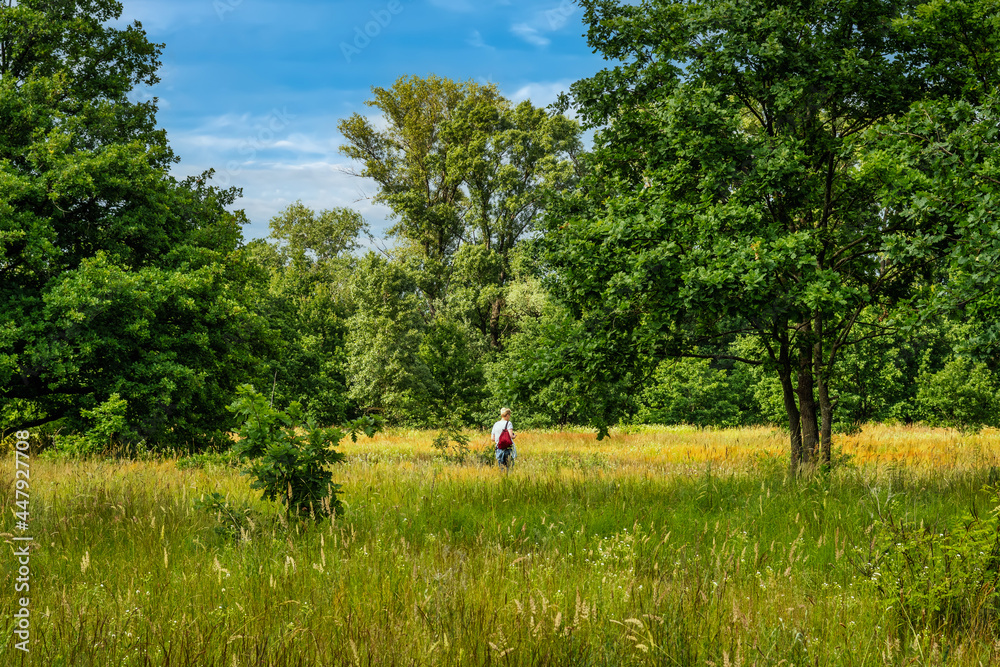 Blooming meadows. Beautiful herbs. Nice walk in nature. Hiking. Blooming meadows. Beautiful herbs. Nice walk in nature. Hiking.