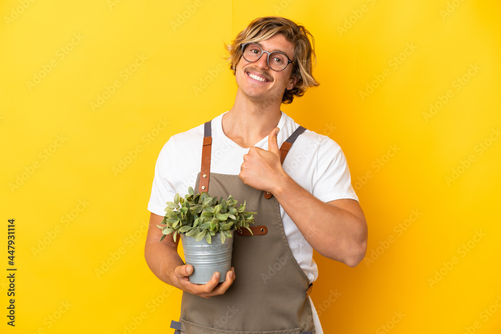 Gardener blonde man holding a plant isolated on yellow background giving a thumbs up gesture Gardener blonde man holding a plant isolated on yellow background giving a thumbs up gesture