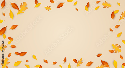 Fall seasonal Festive background frame with falling autumn leaves. Copy space. Blowing Colorful oak Leaves. Fall foliage. Horizontal holiday poster  banner. Vector illustration