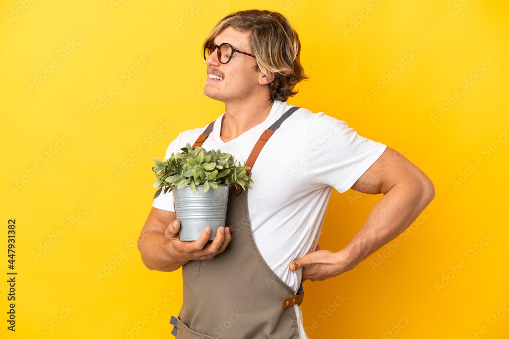 Gardener blonde man holding a plant isolated on yellow background suffering from backache for having made an effort Gardener blonde man holding a plant isolated on yellow background suffering from backache for having made an effort