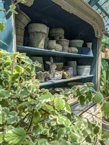 antique pots behind a bush