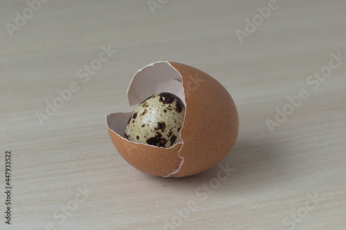 Konstfotografi A hen egg covering a partridge egg