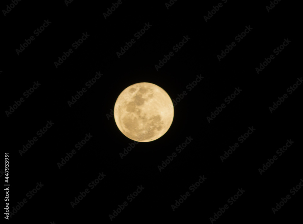 Fototapeta premium Paixão Pela Lua
