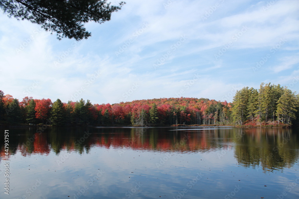 Obraz premium Fall Lake