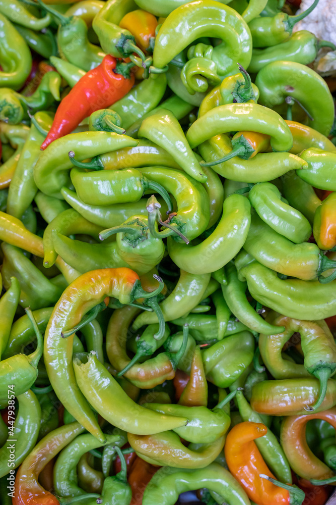 Fresh green peppers, bell peppers, Hungarian peppers Fresh green peppers, bell peppers, Hungarian peppers