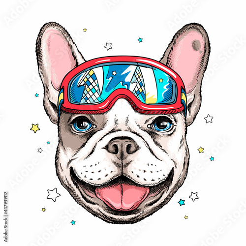 Cute cartoon french bulldog with ski goggles . Dog portrait in hand drawn style. Stylish image for printing on any surface