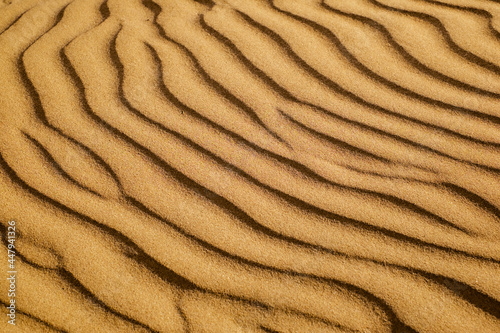 Background texture of desert sand