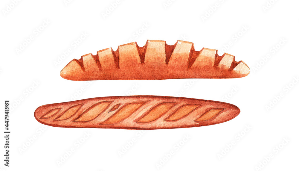 french baguette on a white background. Watercolor illustration
