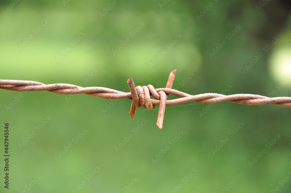 old rusty barbed wire fence background blurred nature. selective focus