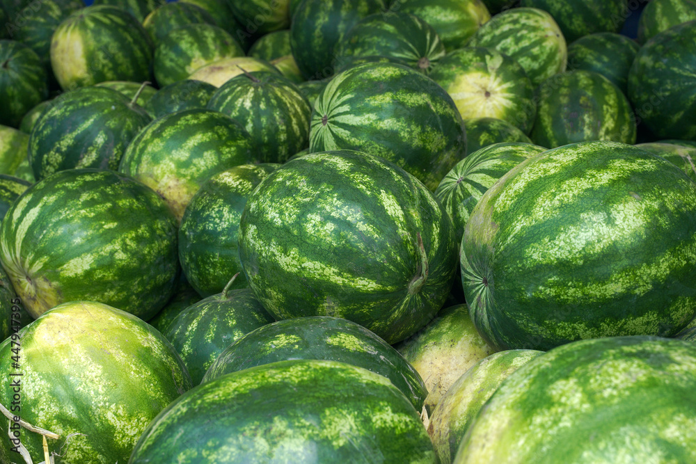 fresh watermelons at the market fresh watermelons at the market